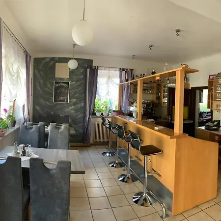 Knezevic Inn Leoben (Styria)