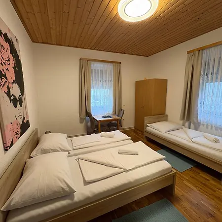 Inn Knezevic *