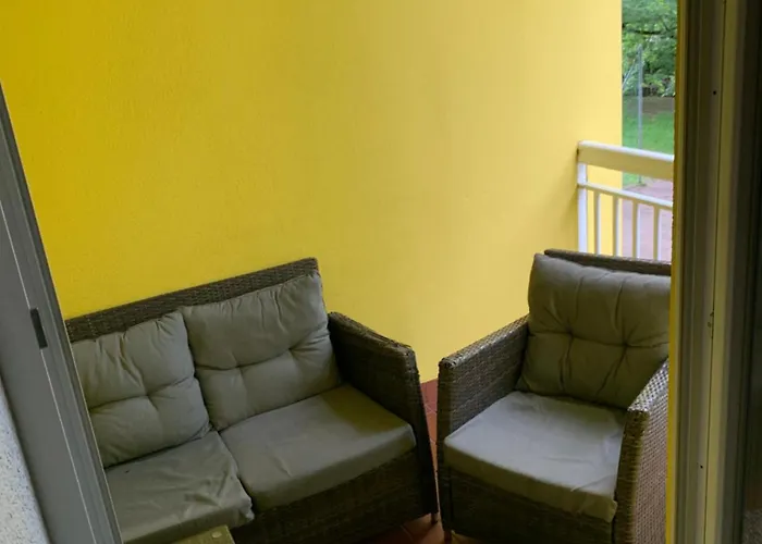 Knezevic אורחן *