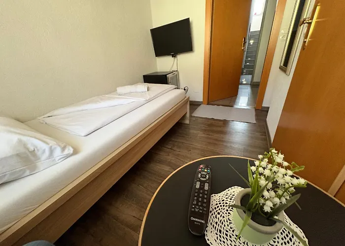 אורחן Knezevic *