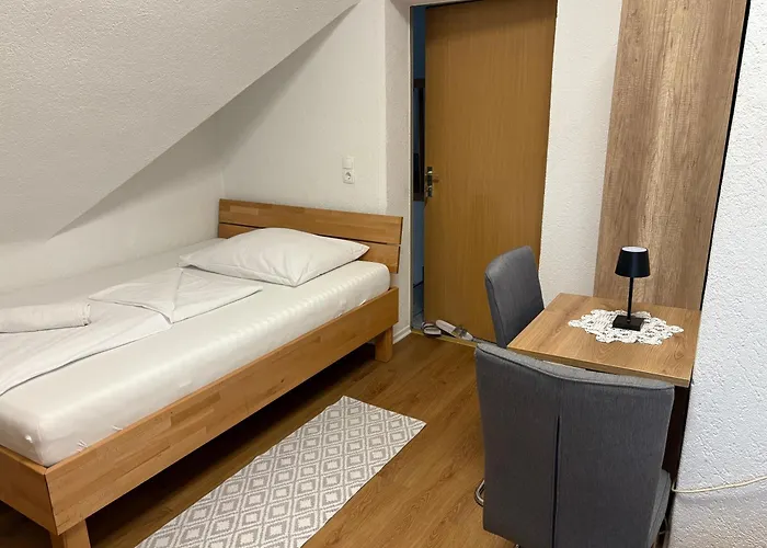 Knezevic אורחן *