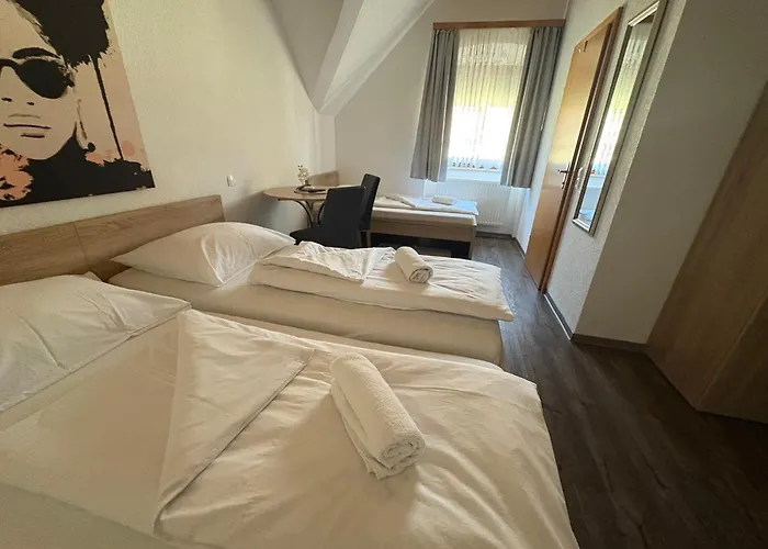 Knezevic אורחן *