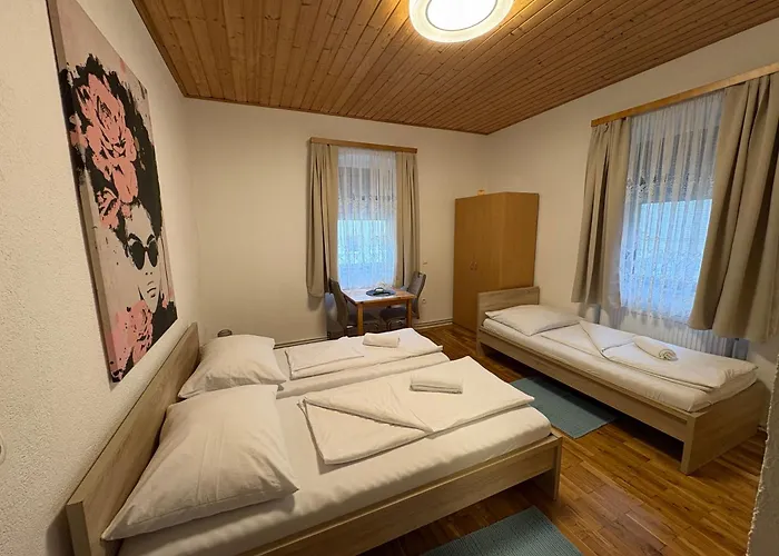 אורחן Knezevic *